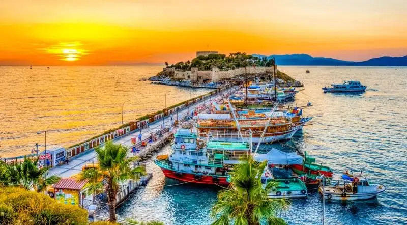 آب و هوای کوشی آداسی