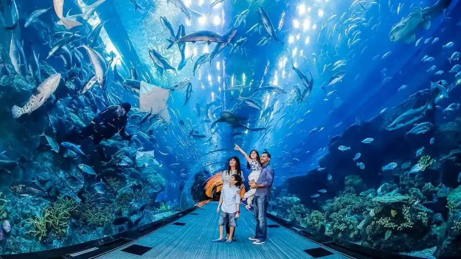 آکواریوم (Dubai Aquarium & Underwater Zoo)