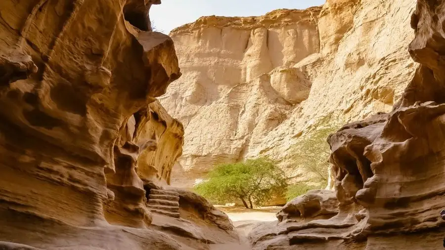 تور قشم