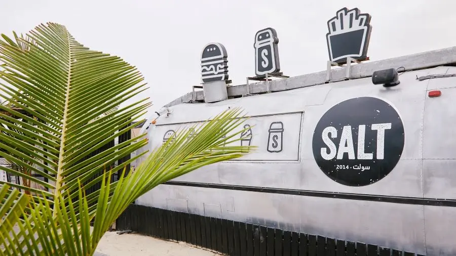 Salt_Ann
